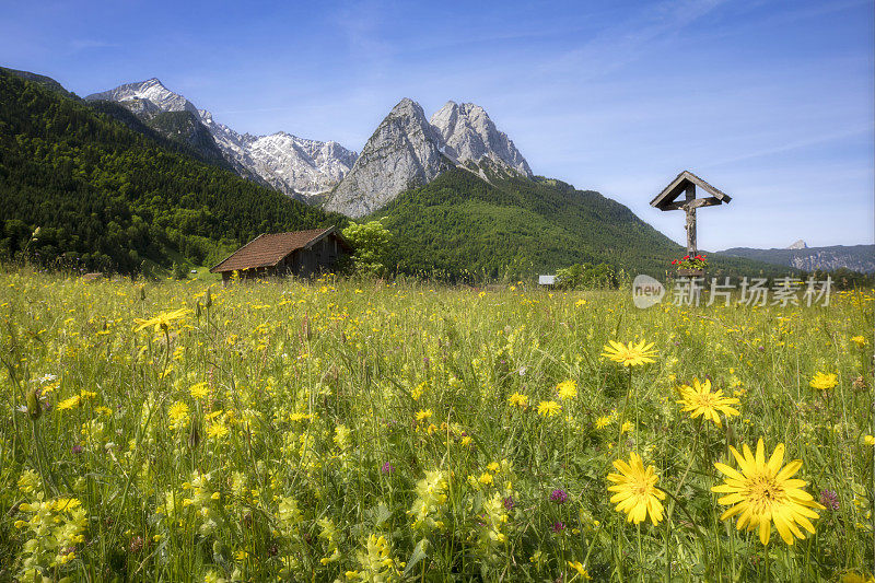 在鲜花草地上的路边神殿在Zugspitze - Garmisch Partenkirchen前面